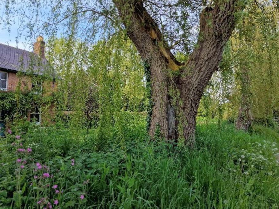 Piddle Puddle Cabin Dorchester Exterior foto